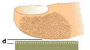 Capacitive Fingerprint Sensor Technology